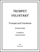 Trumpet Voluntary P.O.D. cover